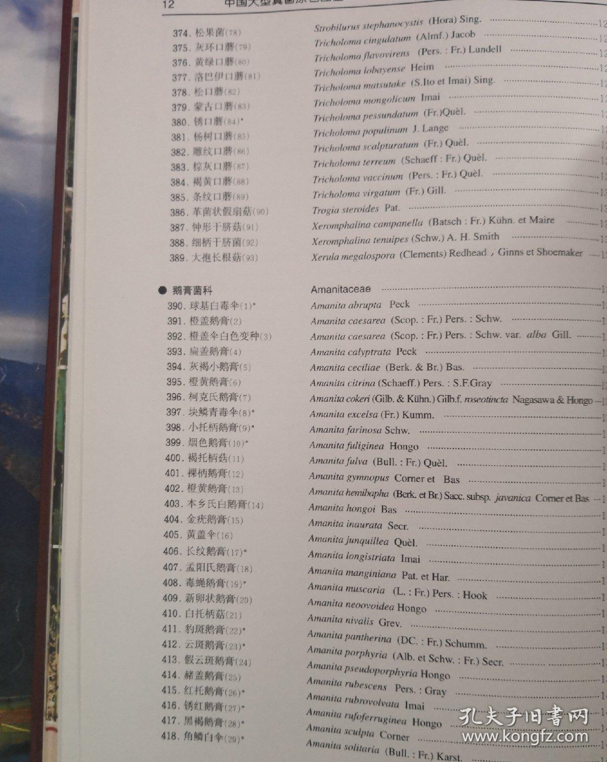 原色简谱_三原色简谱(2)