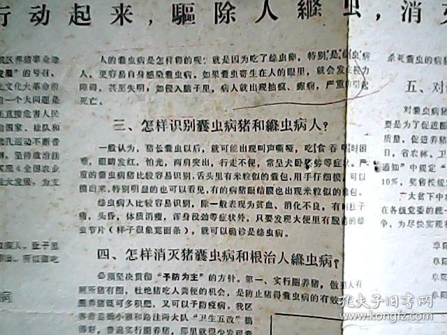 根治绦虫病 消灭猪囊虫 (1975年阜阳地区印 4开带图宣传小报)