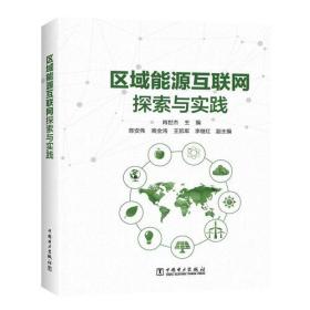 区域能源互联网探索与实践