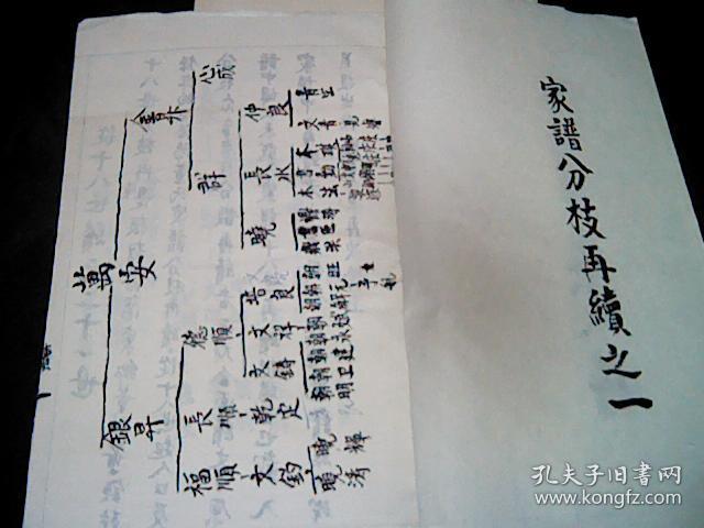 洛阳董氏家谱(毛笔手写原谱)自明朝居洛阳花庄村后迁董王村