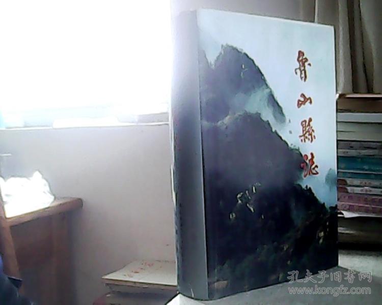 鲁山县志