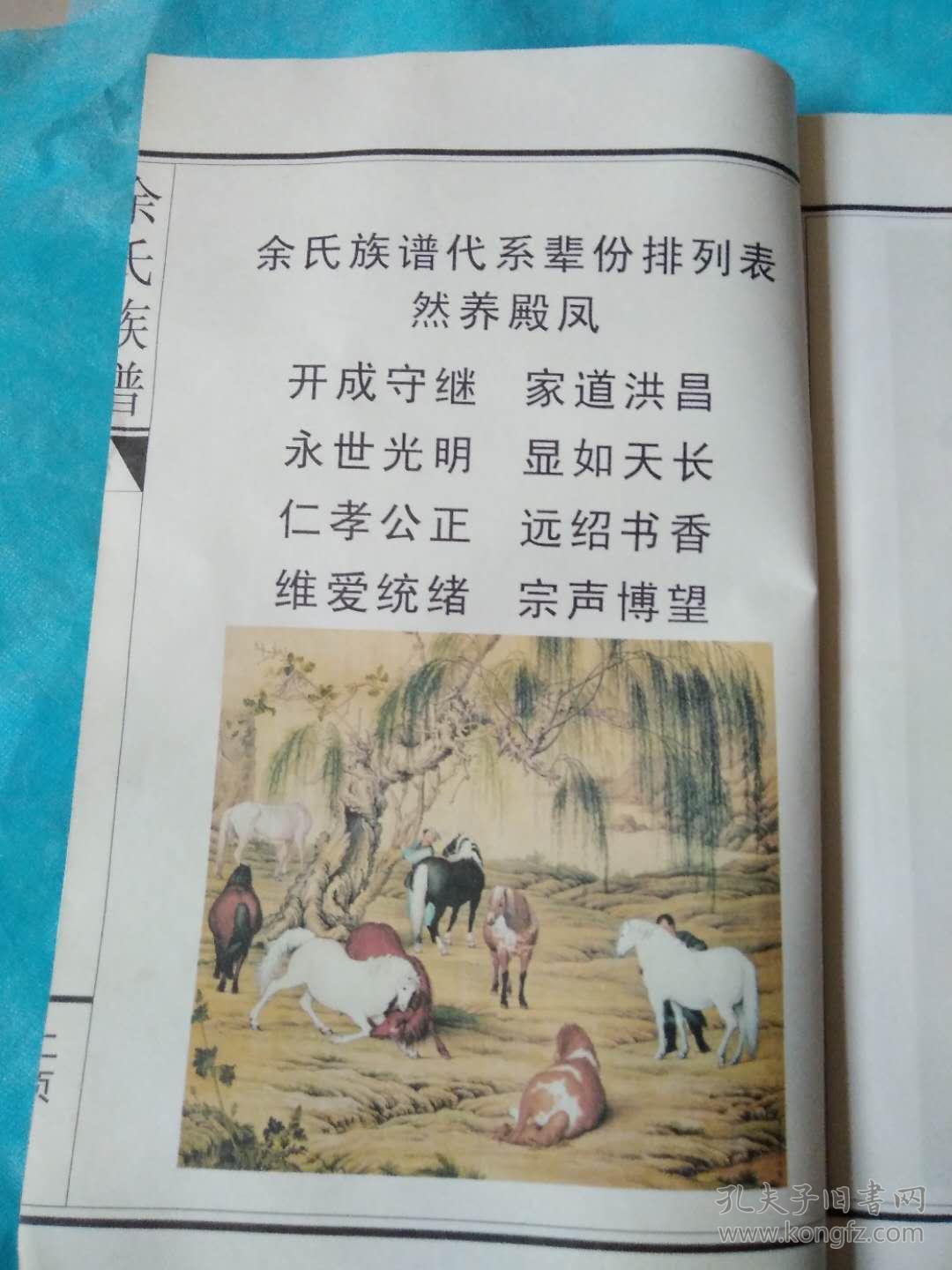 余氏族谱(安徽省阜阳市)