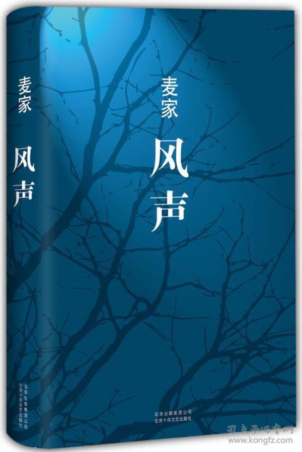 《风声》低价购书_麦家 著_小说_孔网