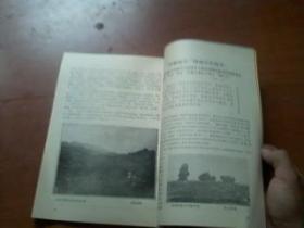龙道简谱