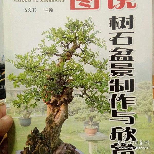 图说树石盆景制作与欣赏_马文其 编_孔夫子旧书网