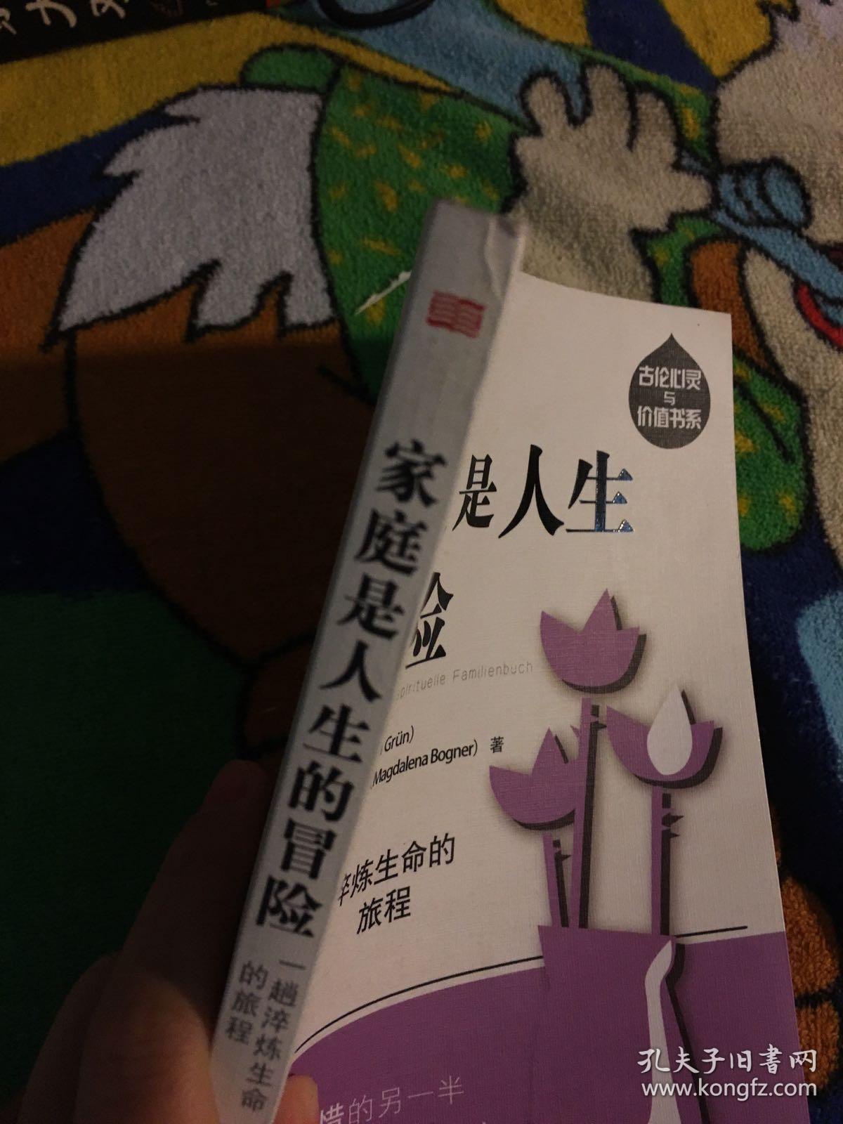 家庭是人生的冒险:一趟淬炼生命的旅程