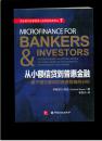 从小额信贷到普惠金融：基于银行家和投资者视角的分析（16开平装 厚册355页）九品