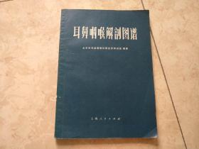 喉咙简谱_喉咙唱的沙哑简谱