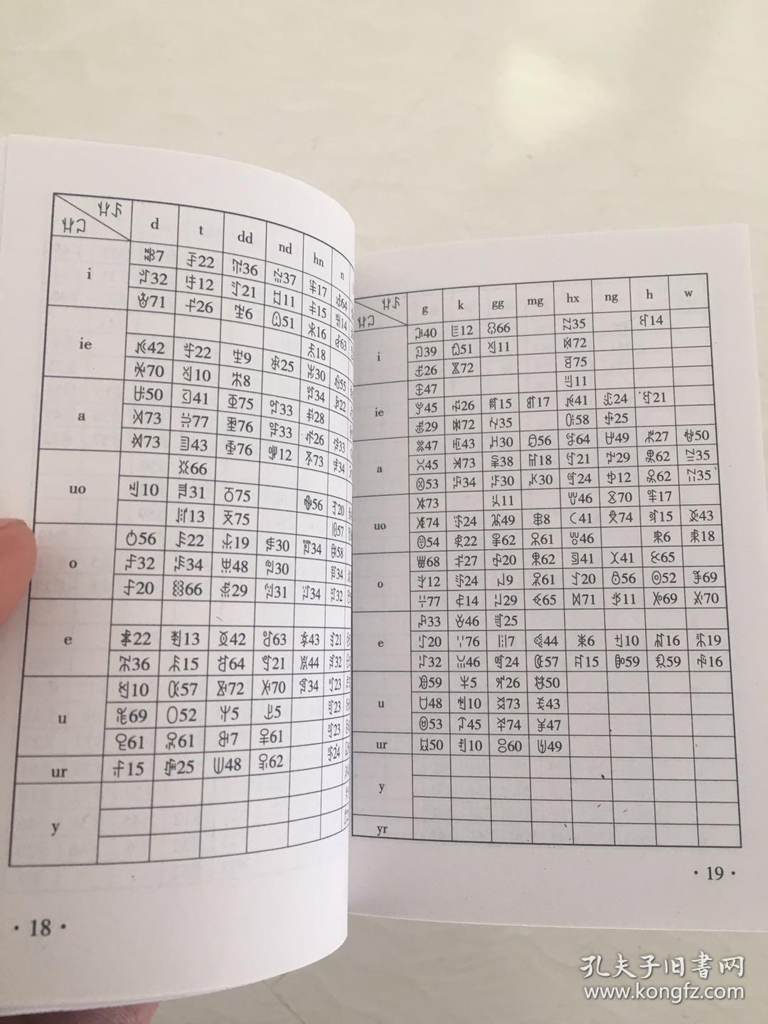 彝族书籍 《彝文检字本》 彝文书_凉山州语言文字指导
