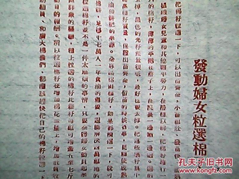 棉子简谱_勇气棉子简谱(2)