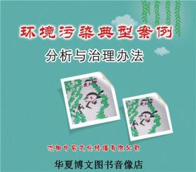环境污染典型案例分析与治理办法(2DVD)
