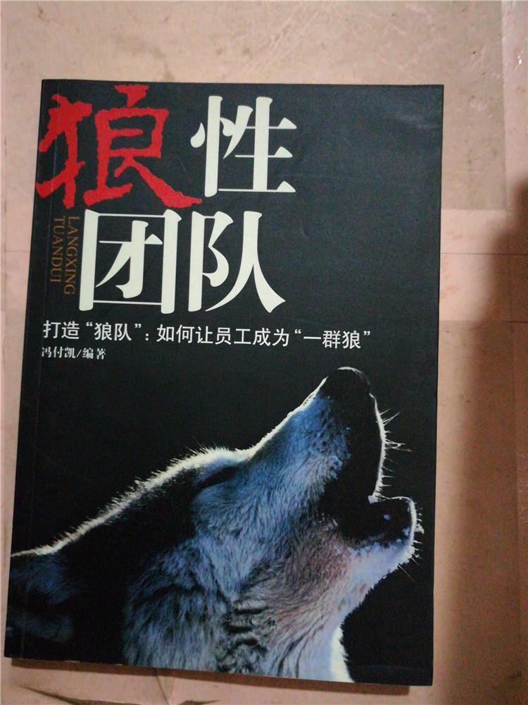 狼性团队  : 打造狼队：如何让员工成为一群狼