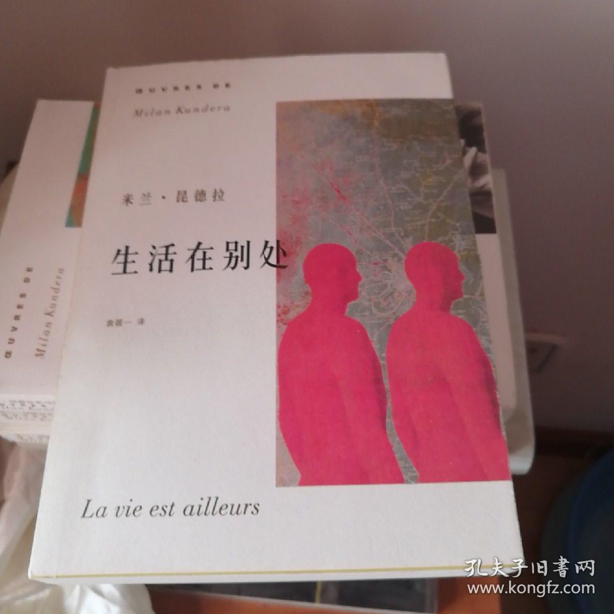 生活在别处米兰昆德拉 九品                 