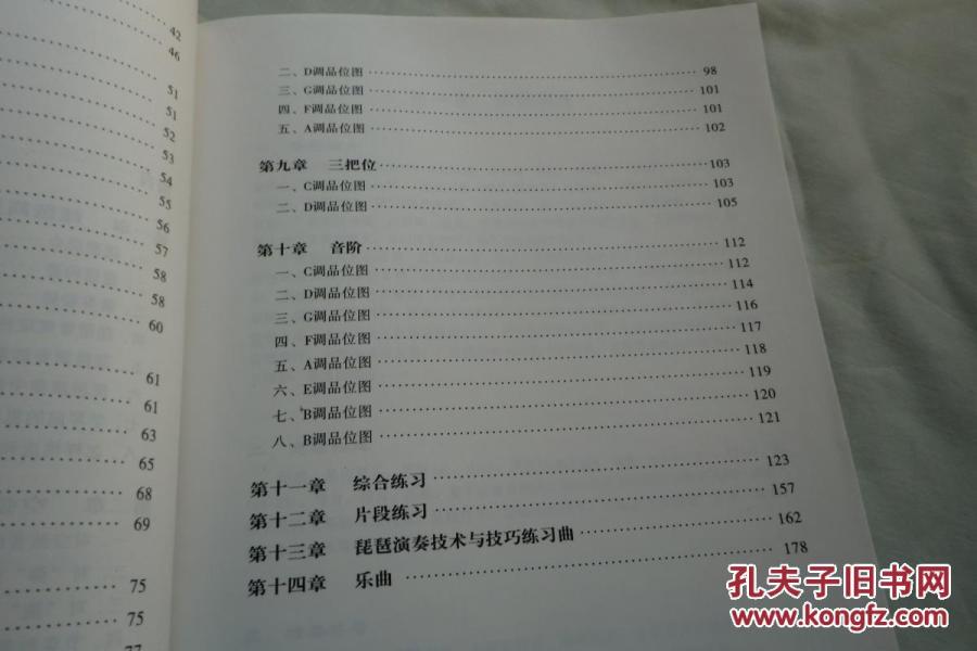 民族器乐学与练丛书:琵琶演奏基础教程_吴玉霞