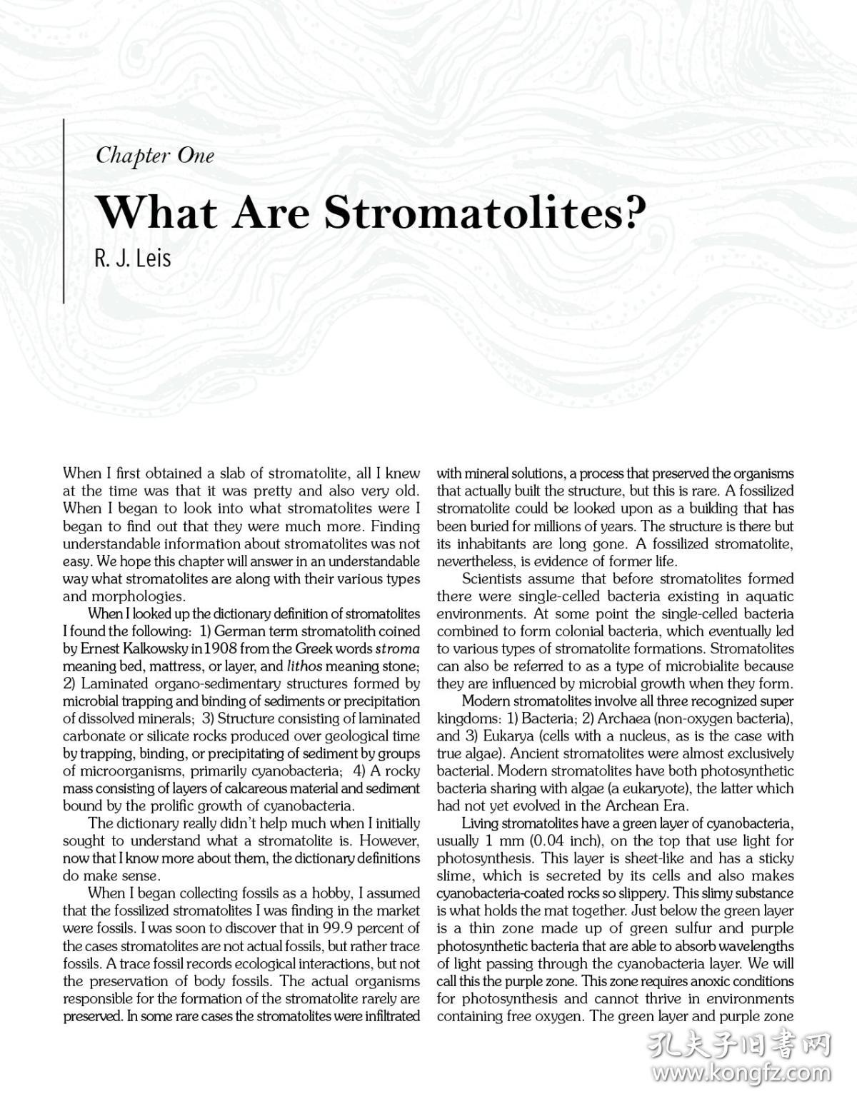 stromatolites: ancient, beautiful, and earth-altering