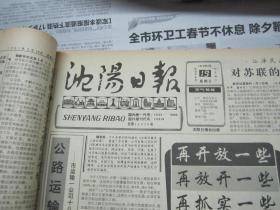 （生日报）沈阳日报1991年5月19日