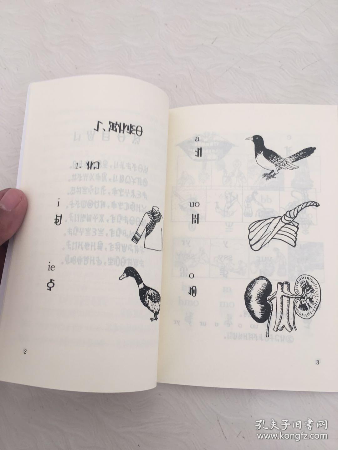 彝族书籍彝文识字课本基础彝语教程彝文书