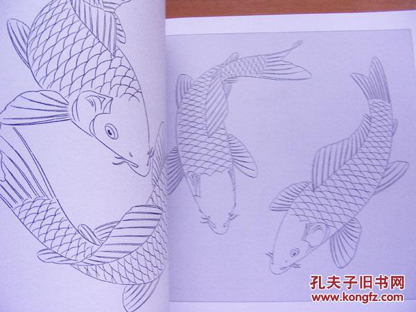 正版实用白描画稿 鲤鱼百态 国画自学