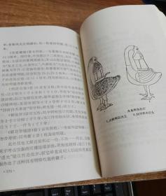 成语奇什么淫什么