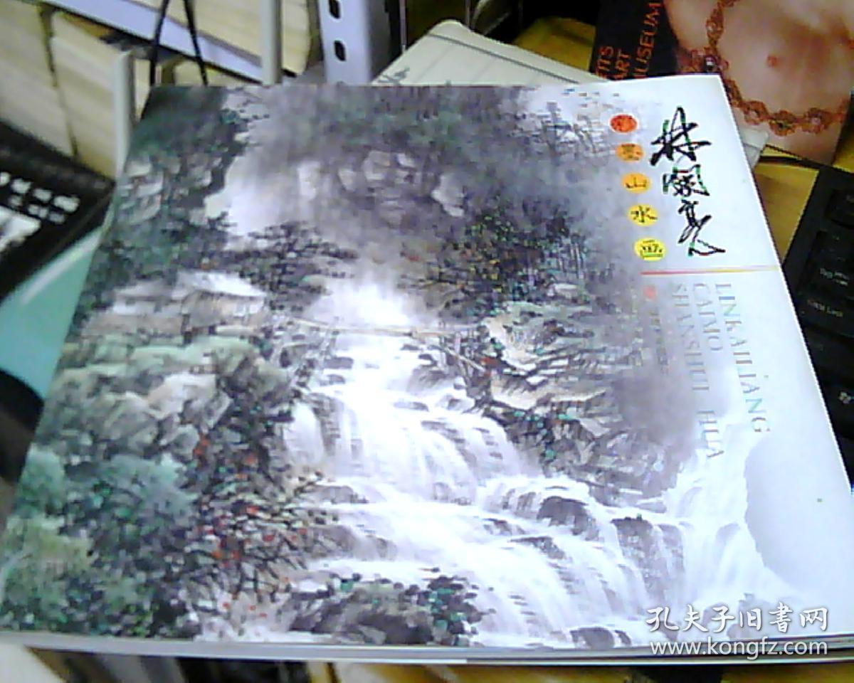 林开亮彩墨山水画