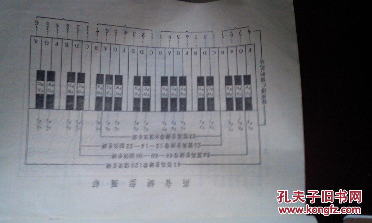 怎样学习手风琴