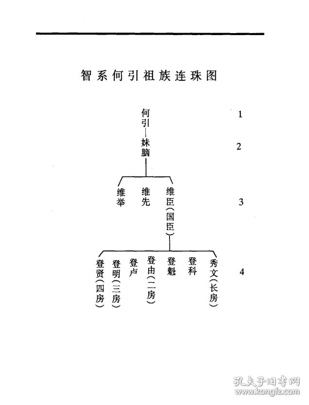 袁氏宗谱【汝南堂】 贾戎 何引公支 16开 260页 复印本