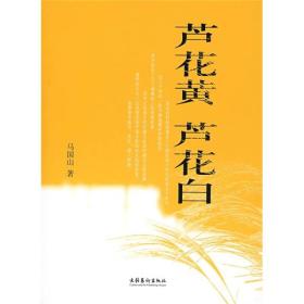 芦叶青青芦花白简谱_小星星简谱(3)