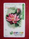 中国99昆明世界国艺博览会磁卡电村卡门票卡