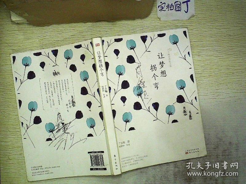 丁立梅经典散文集:让梦想拐个弯