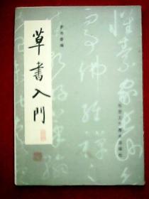 草书入门(作者对中国书法及草书的历史、艺术