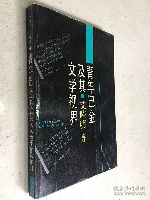 文学视界