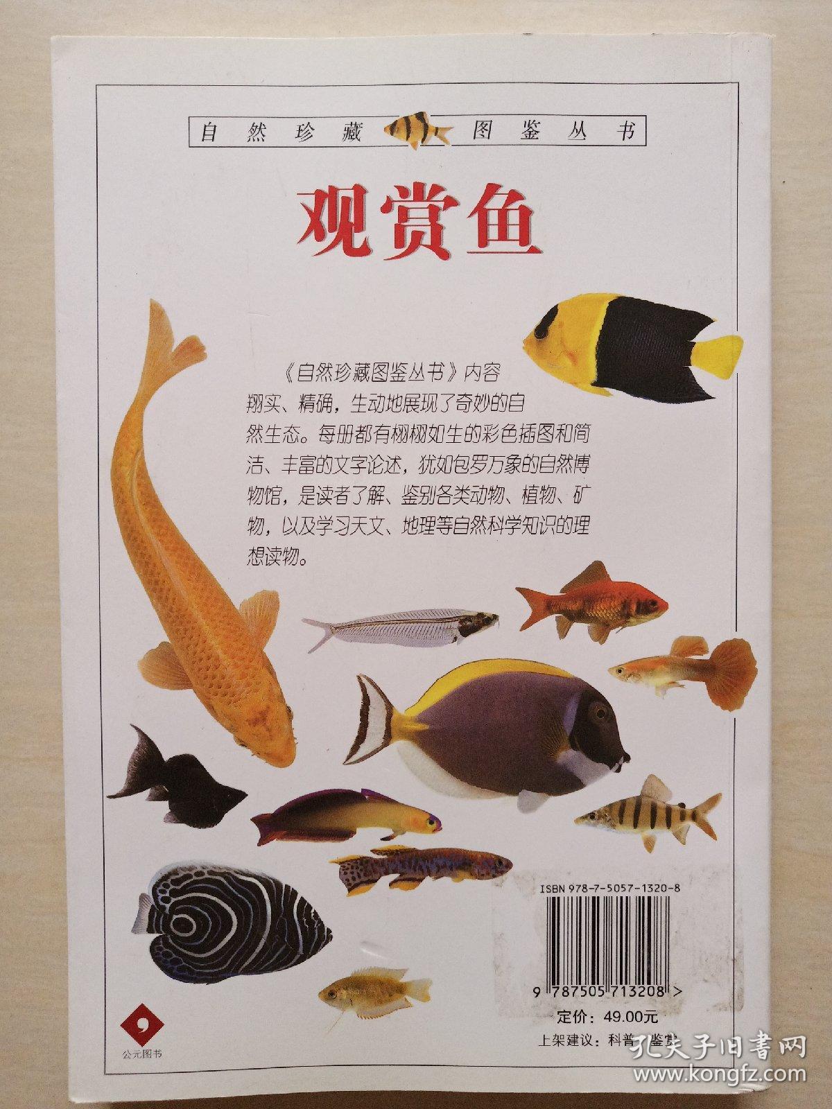 观赏鱼:全世界500多种观赏鱼的彩色图鉴