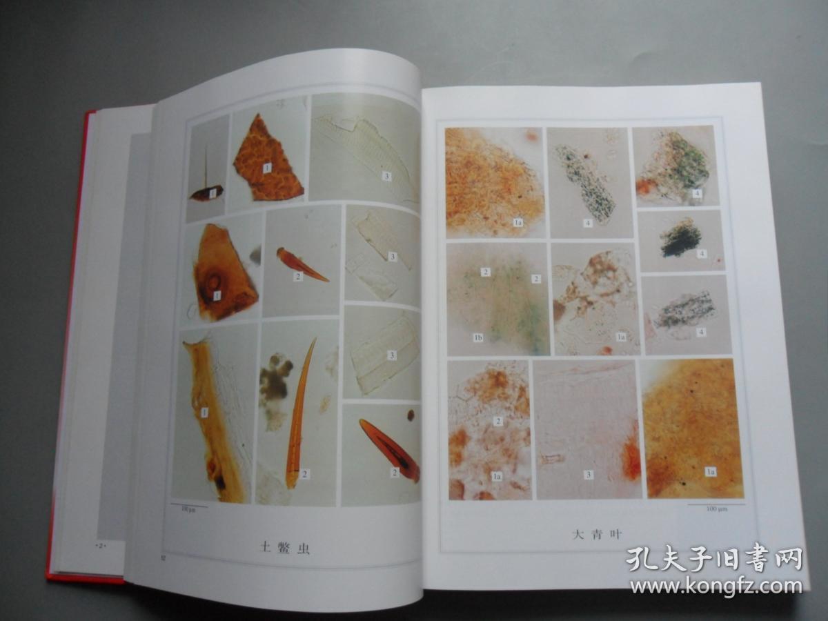 中药粉末显微鉴别彩色图集