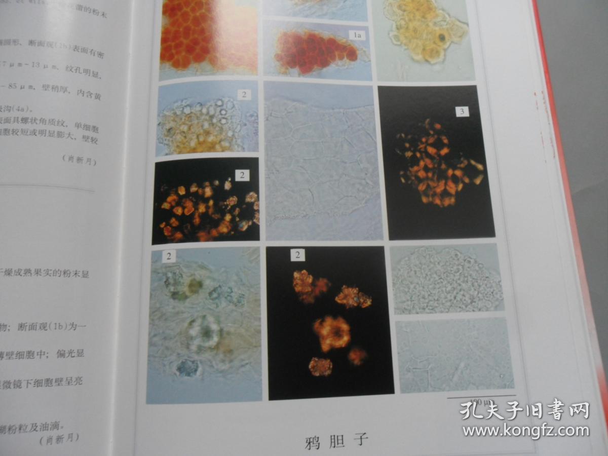 中药粉末显微鉴别彩色图集