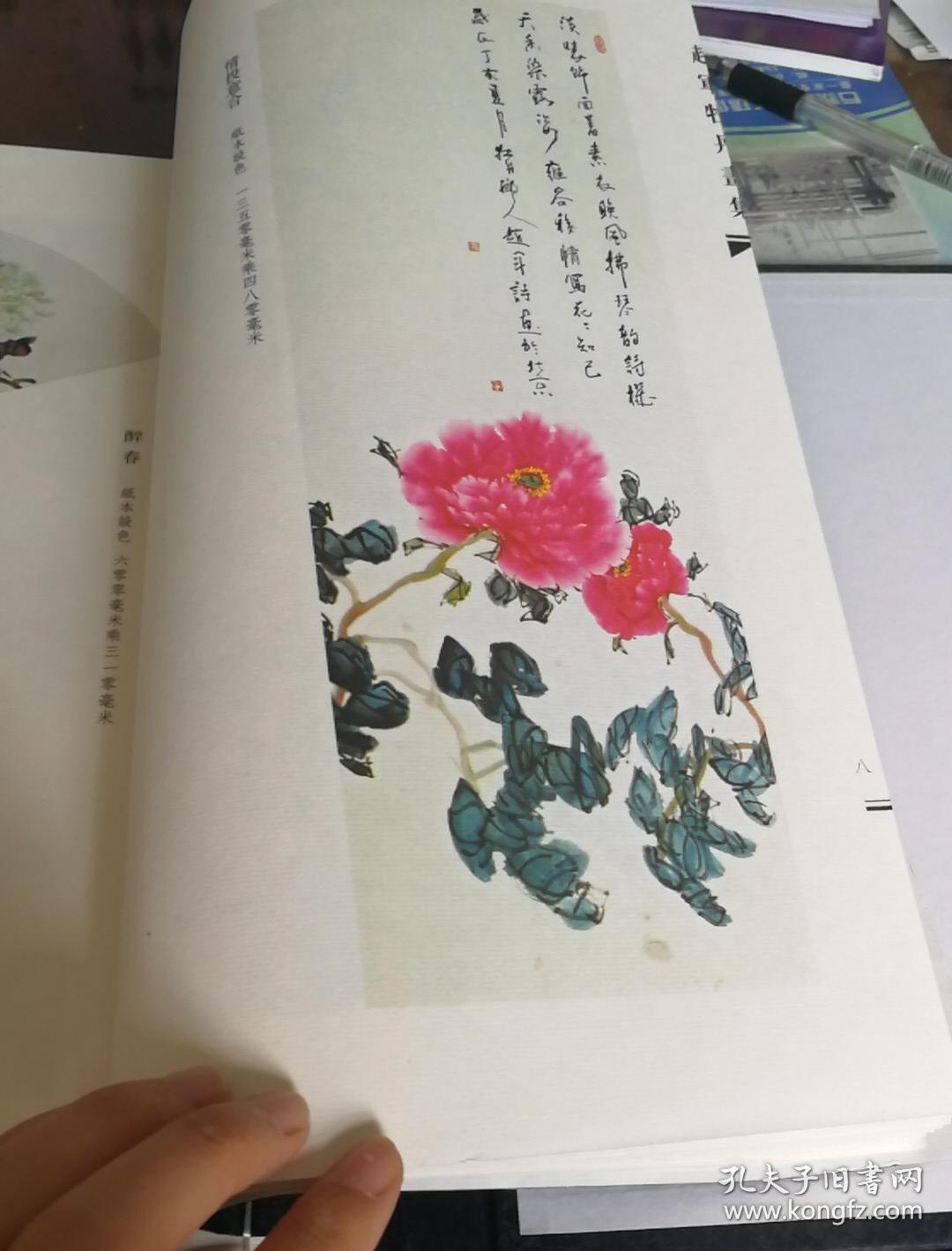赵军牡丹画集