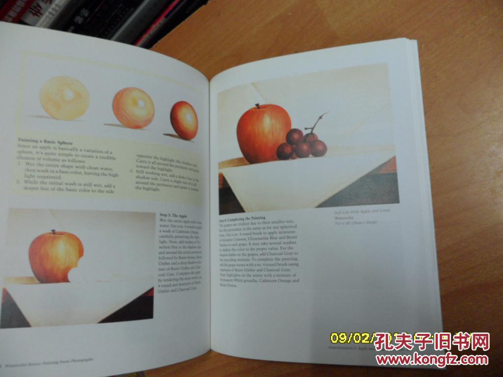 rom Photographs (Watercolor Basics) 水彩基础