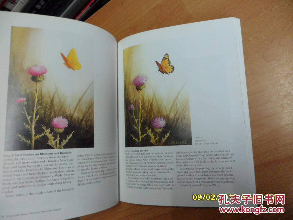 rom Photographs (Watercolor Basics) 水彩基础