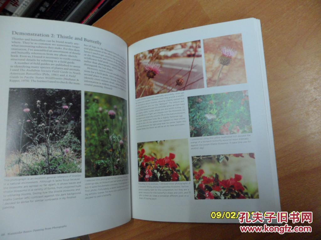 rom Photographs (Watercolor Basics) 水彩基础
