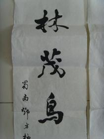 什么鸟知什么成语_成语故事简笔画(2)