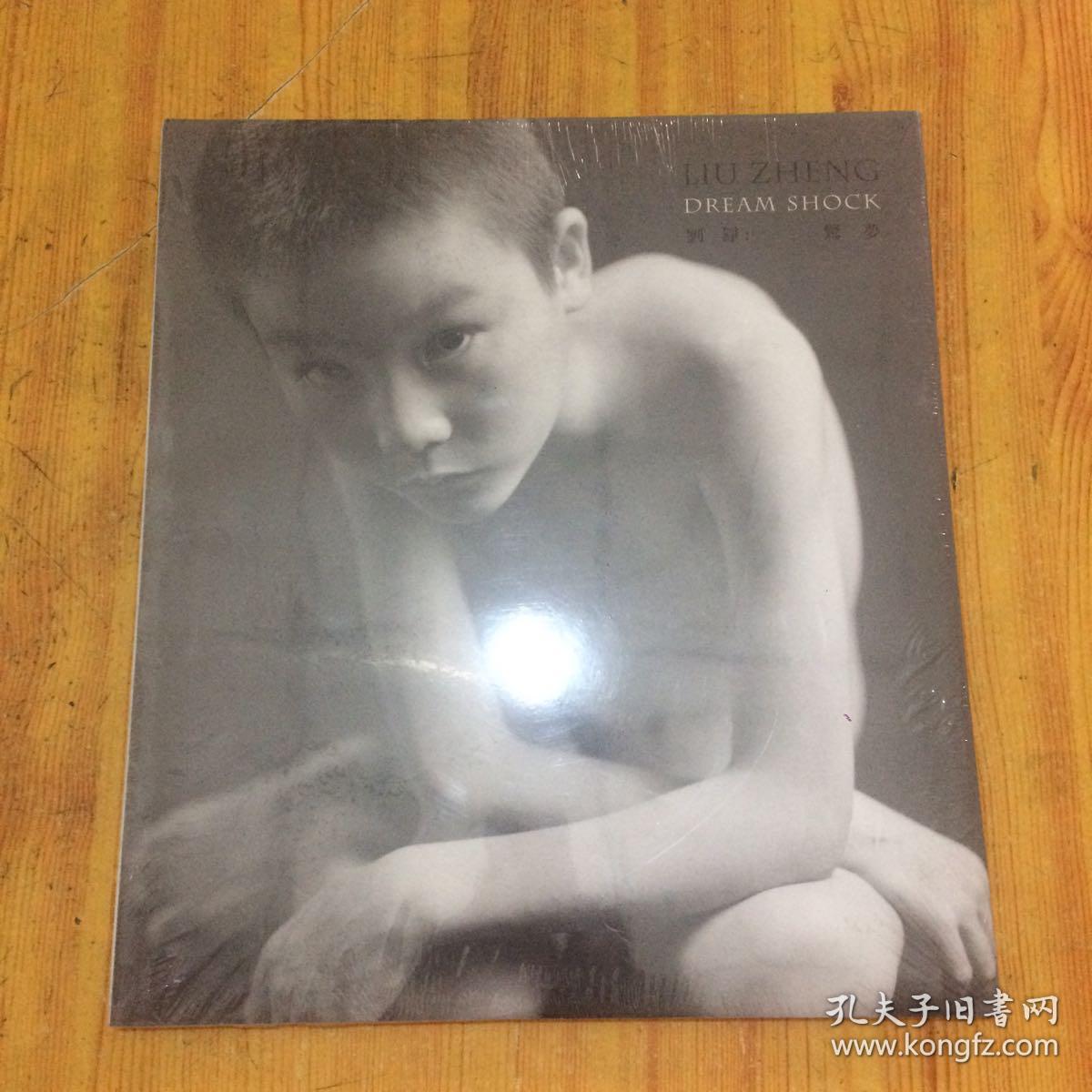 刘铮:惊梦 (中英双语画册) [全新]