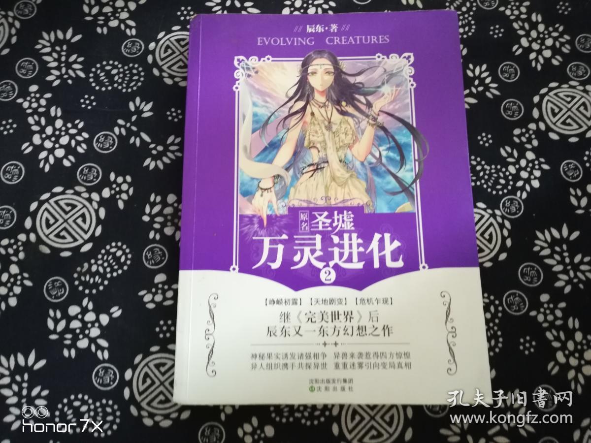 万灵进化2 辰东