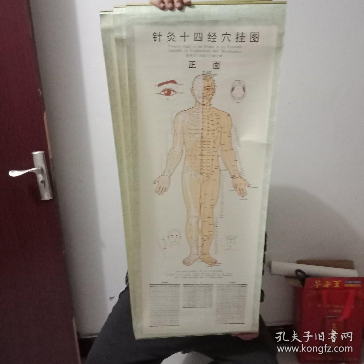 针炙十四经穴挂图,正面,背面,侧面付子午流注针法四张