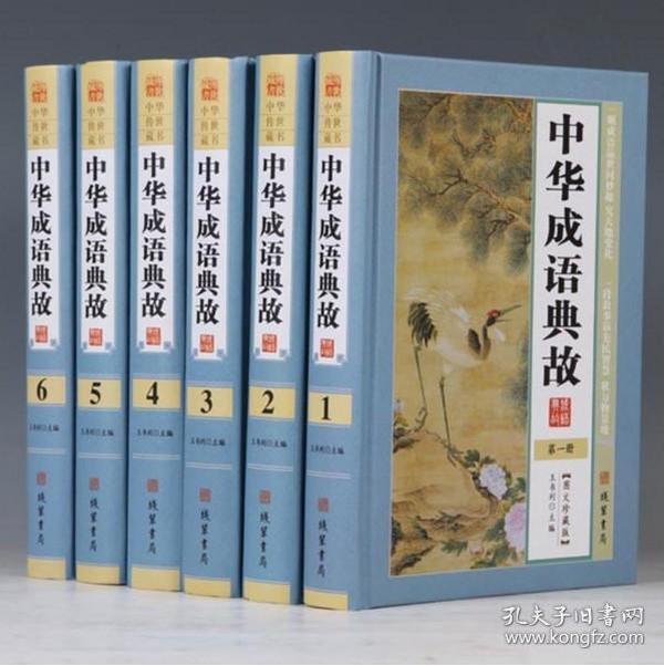 大什么词成语_什么词是成语(3)