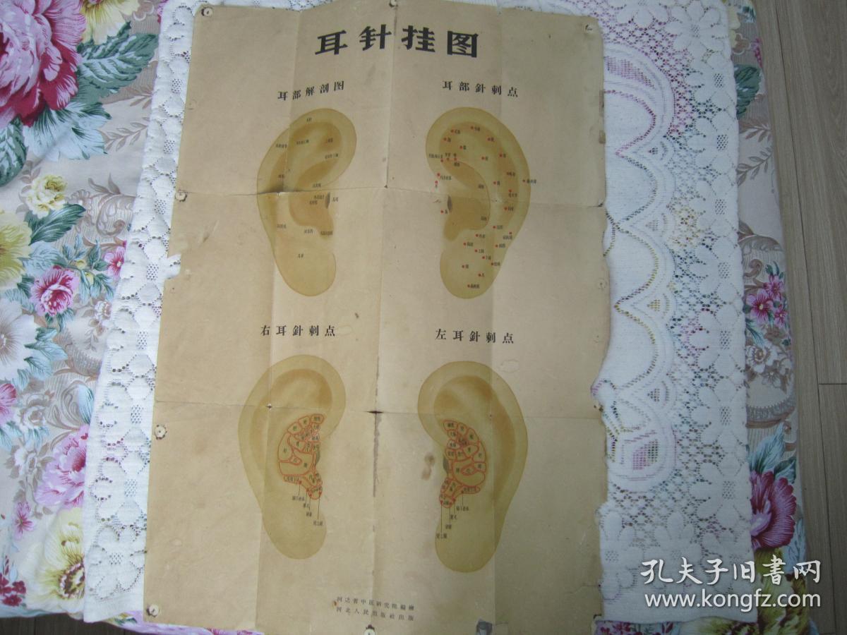 《耳针疗法《耳针疗法选编 耳针挂图 1959年一版一印