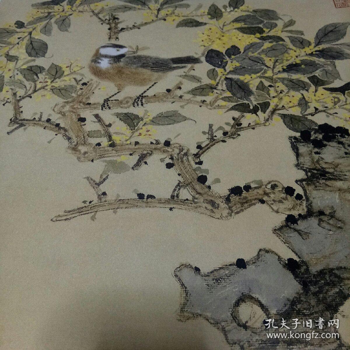 张铨工笔花鸟画作品选