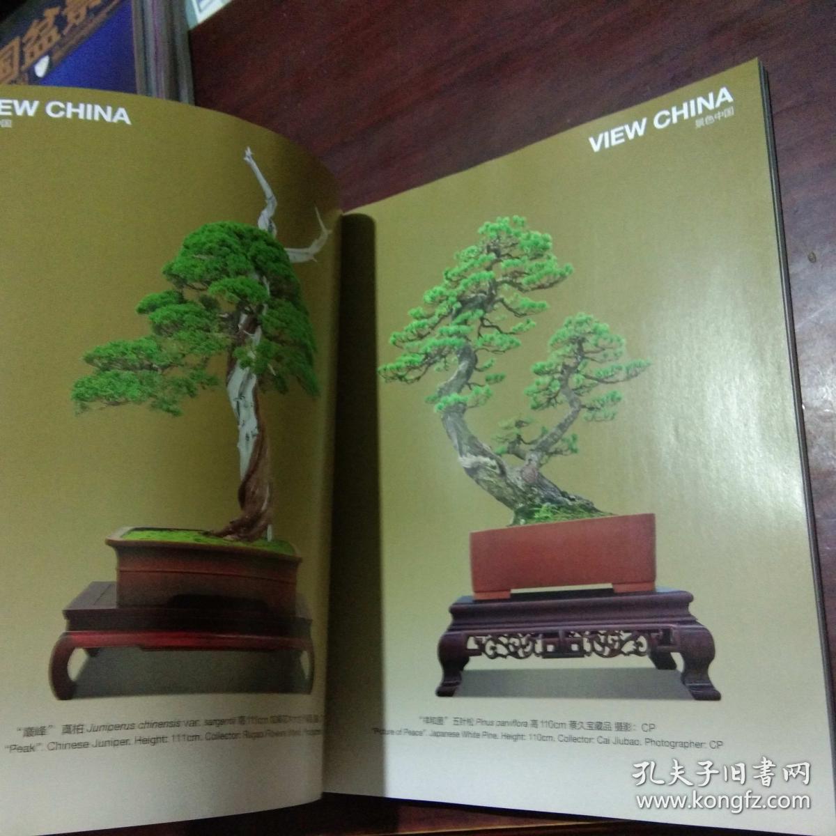 中国盆景赏石:来自博园的故事(温州博园)专辑(好品)