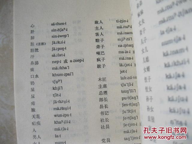 景颇族语言简志 景颇语