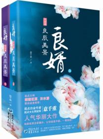 良婿2·良辰美景(上下):完结篇