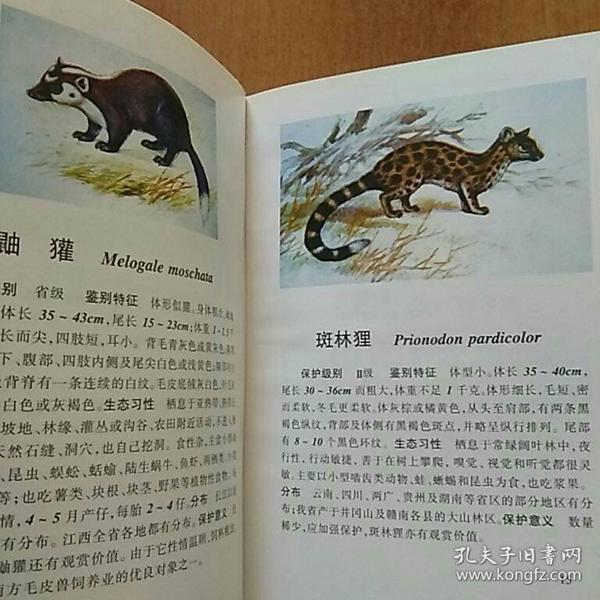 江西省重点保护陆生野生动物图谱正版精装带书衣彩图版收220种动物及