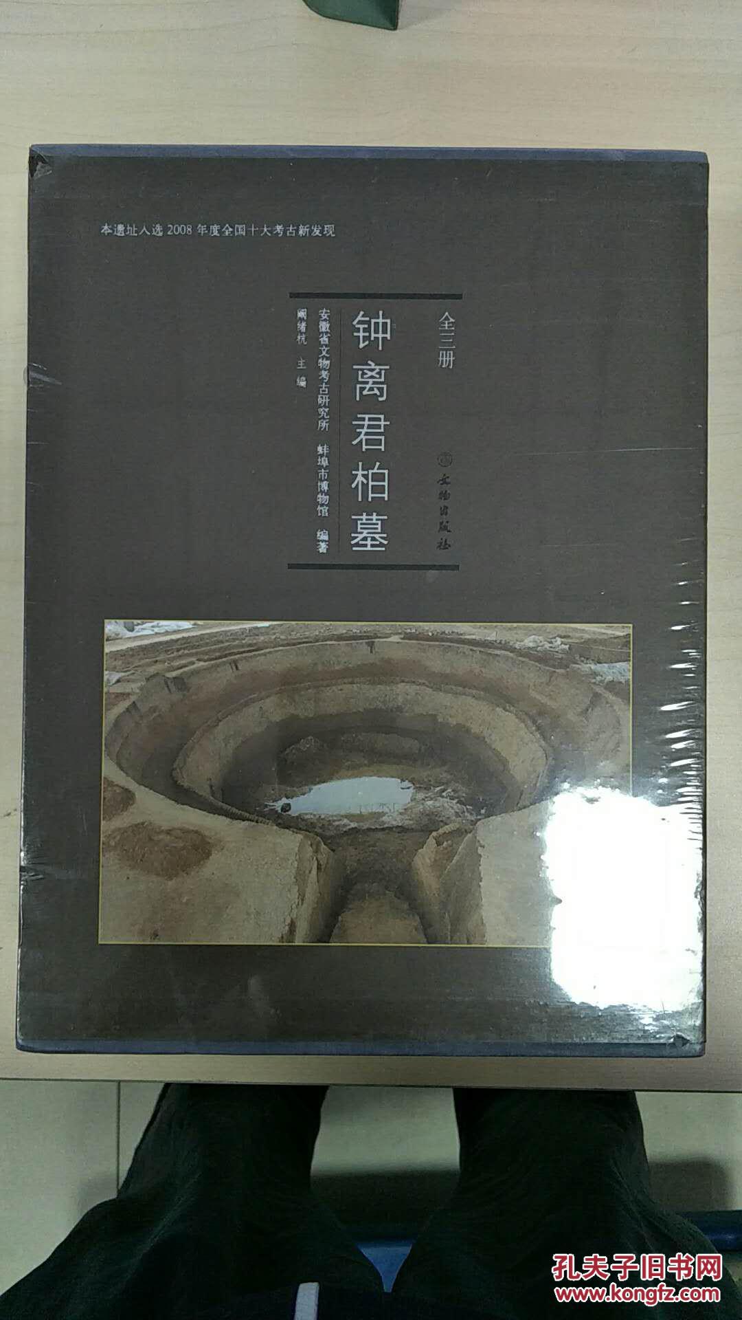 钟离君柏墓全三册